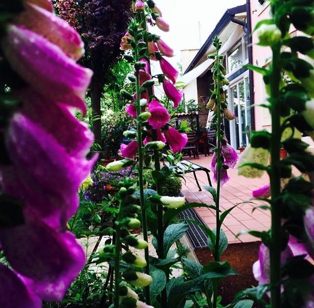 Bed And Breakfast Villa Franca 维罗纳自由镇 外观 照片